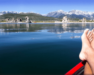 Courtesy of Dawn Ellner/Flickr