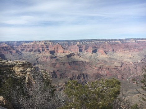 IMG_0084